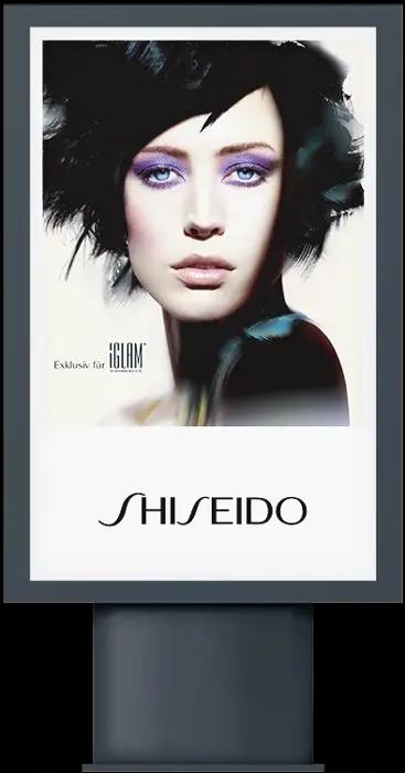 Client: Brandpunkt / Berlin,Project: Shiseido social media & offline communication